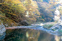 芦川渓谷【市川三郷町】
