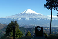 白鳥山森林公園【南部町】