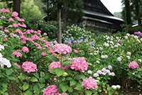 小室山 妙法寺【富士川町】