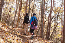 登山道入口2/4