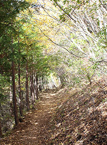 登山道入口4/4