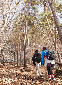 西肩峠(六地蔵の峠)5/5
