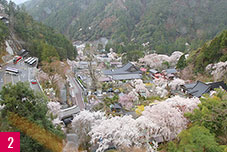身延山 久遠寺2/3