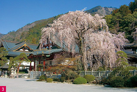 身延山 久遠寺3/3